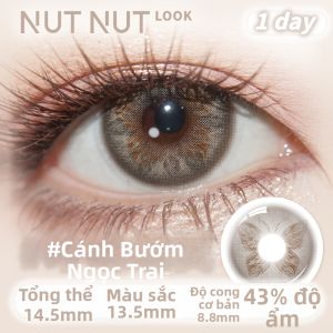 NUTNUT LOOK | Mắt Kính Kontakt Màu Tạo Sáng và Highlight Trục Cố Định 10 Cái