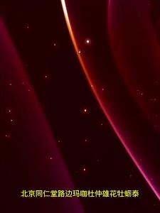 maca deer whip Oyster peptide tablets nourishing essence and strengthening kidney health products       Beijing Tongrentang Maca Tanduk Rusa Tablet Peptida Tiram Berkhasiat Suplemen Kesihatan Buah Pinggang