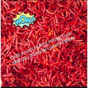 1 KG PROMO CABE RAWIT PEDAS /CAPLAK /TEJA BERSIH TANPA TANGKAI