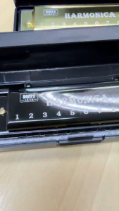 Classic 10-Hole Metal Harmonica