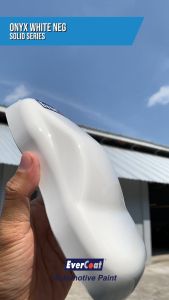 Cat Motor/Mobil ONYX WHITE NEG | Cat Pabrikan/OEM JAGUAR | Evercoat