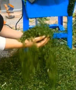 grass chopper Agricultural material shredders Mini Leaf Chopper grass and leaf chopper Mesin chopper  rumput ternakan 切碎机