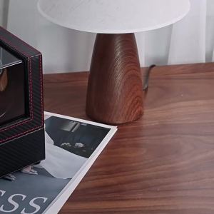 HUIYAXIU | High-end USB Powered Mechanical Watch Winder