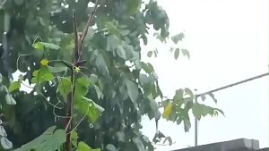 Mini Electric Clothes Dryer Detachable Hose Clothing Air Drying Machine Garment Dryer Heater Portable Dryer Warm Blanket Drying Shoes Pet Hair Dryer for clothing for Home Dormitory Travelling 1000W