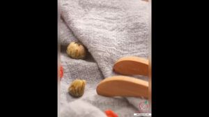 เก็กฮวยป่า ออแกนิค (Organic Chrysanthemum) ขนาด 40 กรัม