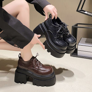 Fashionable British Style Womens Single Shoes with Fleece Thick Heel And Buckle Closure High Heels for Autumn Winter Season