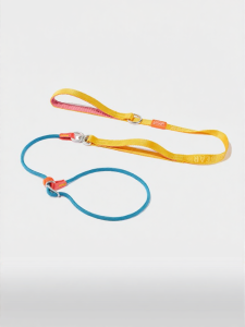 howgo | Anti-Snap Shockproof Training Leash And Harness