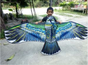 ว่าว ว่าวนกอินทรีย์ ว่าวไล่นก ขนาดใหญ่ โครงหลัง 1.8-2.2 เมตร ว่าวไล่ศัตรูพืช พร้อมส่งทุกวัน แถมเชือก ฟรี ว่าวนก ว่าวนกอินทรีย์ ราคา - Lazada