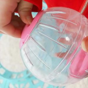 ĐỒ CHƠI CHO CHUỘT HAMSTER - T3 PETS SHOP