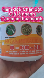 (500gam) Phân 0-60-20 Nova pekacid - Siêu tạo mầm hoa kích ra hoa đồng loạt chặn đọt không gây cháy lá