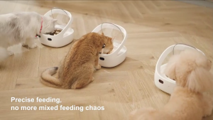 Petoneer NutriCare Feeder | RFID | Sensor Mode | Manual Mode | Ice Pack | Smart Control with App (1 Year Warranty)