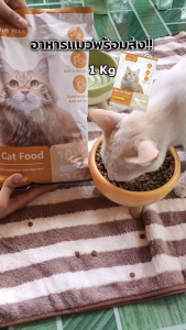 Uncle cat อาหารแมว รสปลาทะเล 1 kg อาหารเม็ดแมว สำหรับแมวโต ปราศจากผลพลอยได้