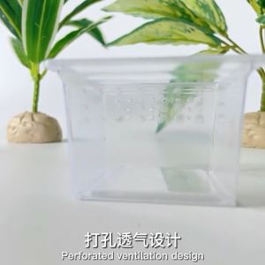 Nomoy Pet H1 Small Square Box for Tarantula & Insect