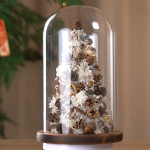 【Local Seller】Natural Christmas Tree Collection Table Decor Mini Preserved Christmas Tree Xmas Home Room Decor Gifts