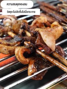 เตาย่างแก๊ส เตาปิ้งย่างแก๊ส 67CM/95CM/120CM เหมาะสำหรับครอบครัว แคมป์ปิ้ง บาร์บีคิว เตาย่างสแตนเลสแบบพกพา เหมาะสําหรับบาร์บีคิว / เนื้อย่าง