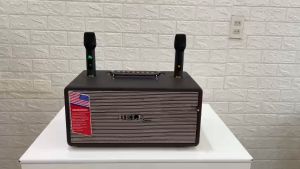 Loa kéo xách tay thùng bọc da  cao cấp 2 bass đôi 16 và 2 chép tay micro cao cấp chuyên karaoke và nghe nhạc