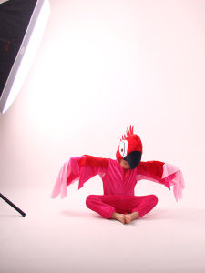 หมวกการแสดงสัตว์การ์ตูนสำหรับเด็ก หมวกนกหวีดสีฟ้า หมวกนกปากใหญ่สีชมพู ชุดการแสดงนก ชุดการแสดงสัตว์ ชุดการแสดงเด็ก