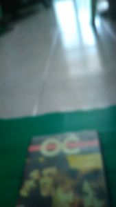 THE OC SEASON 1 (7 แผ่น จบปี 1)