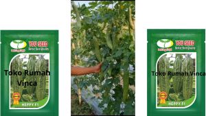 Benih Pare untuk Tanaman Sayuran: Bibit Pare Berkualitas Tinggi