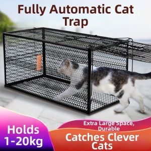 MEISITEKEKE | Automatic Large Cat Trap for Feral Cats