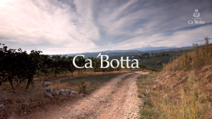 CaBotta Costa Rossa 2018 Estate Grown Valpolicella Ripasso DOC Superiore - Elegant Italian Red Wine 750ml