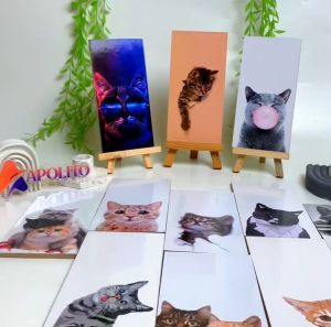 HIASAN DINDING KUCING LUCU (10x20) KAMAR DEKORASI RUMAH WALL DECOR DEKORASI KUCING PAJANGAN DINDING