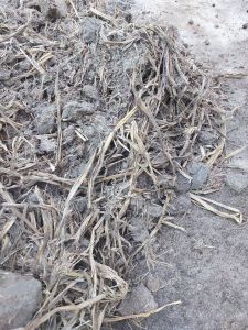 ĐẤT THỊT TRỒNG CÂY (ĐẤT PHÙ SA MẶT RUỘNG KHÔNG PHA TRỘN) 3kg