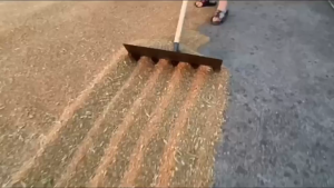Heavy Duty Manganese Steel Farm Scraper Rake Multi-Purpose Agricultural Shovel for Palay Drying Leaves & Livestock Farm Cleaning Thickened Integrated Curved Grain Scraper Tool High Carbon Steel Agricultural Scraper Multifunctional Manure Shovel