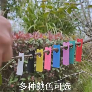 Sét 100 thẻ móc cành dùng ghi dánh dấu tên giống cây trồng nhựa mica size 2x5cm