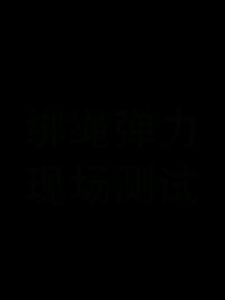 Tali Karet Elastis Pengikat Barang Motor: 2/3 Meter Central Bungee Carabiner