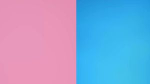 ERHA Acneact Gentle Acne Facial Wash - Sabun Pembersih Wajah Jerawat + BHA Sulfur