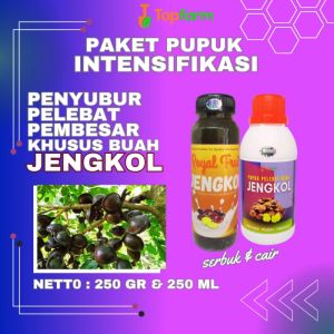Pupuk Pelebat Buah Jengkol / Pupuk Jengkol / Pupuk Jengkol Cepat Berbuah / Pupuk Untuk Tanaman Jengkol / Pupuk Booster Jengkol