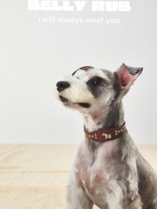 Punk Style PU Leather Pet Collar Adjustable Length for Medium to Small Pets Unbranded Pet Accessories Cat Dog Leash Supplies