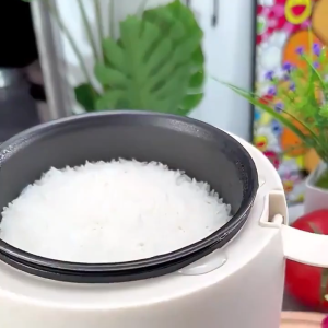 SG【READY STOCK】1.2L mini rice cooker small non-stick pan one-click cooking automatic thermos steamer small power rice cooker