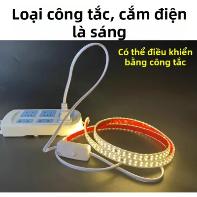 SHUOYU | Đèn LED Dải Tự Dán Chống Nước Có Cổng Kết Nối và Công Tắc 220V