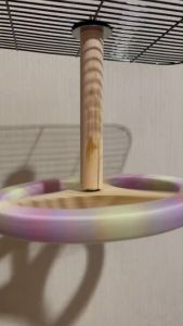 ของเล่นนกแบบติดกรง แท่นวงกลมหมุนได้แต่งเชือกเรนโบว์