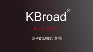 KTS-2267 Bluetooth speaker USB/TF/LINE IN/FM Radio/TWS/Karaoke/RGB Flash lightDual 4 inch/2400mAh