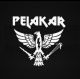 PELAKAR RESOURCES