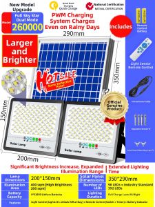 BELAN | Ultra Bright Induction LED Street Light