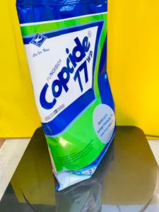 Fungisida Copcide 77wp bahan aktif tembaga hidroksida 77% dari cap kapal terbang