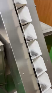 TRÀ SHAN TUYẾT CỔ THỤ TÚI LỌC TAM GIÁC - VÂN PHONG TRÀ