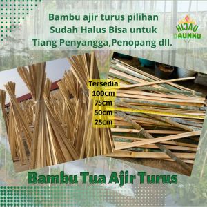 10 Bambu Belah Ajir Turus Plant Stake Raut Tiang Penyanggah Tanaman Panjang 25cm 50cm 75cm dan 100cm