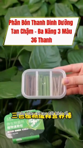 Thanh Phân Bón Cây Tan Chậm - Đa Năng Kích Rễ Bật Chồi Lá Xanh Phòng Bệnh - Dùng Cho Cây Cảnh Bonsai Sen Đá - Hộp 3 màu 30 thanh