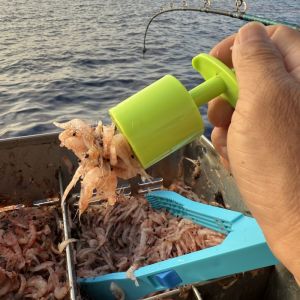 Đồ Câu Cá Đa Năng Cua Mực Nam Cực Câu Cá Nước Ngọt Ốc Rêu Đồ Câu Cá Trên Núi Dụng Cụ Câu Cá Ngoài Trời