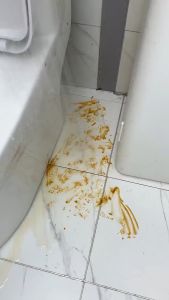Sikat Lantai Kamar Mandi Toilet 2 in 1 Sikat Pembersih WC Praktis Multifungsi Serokan Air Gagang Panjang viral unik shenar floor brush 2 in 1 - SHENAR