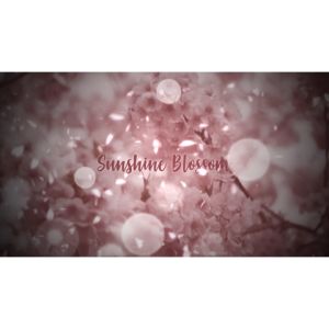 AIR FRESHENER CAR PERFUME PEWANGI KERETA KEEF & NISH SUNSHINE BLOSSOM