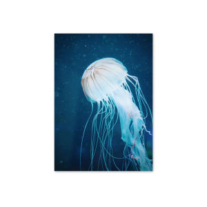 KAYOU | 5D DIY Diamond Painting Kit Ocean Life Dolphin Jellyfish Turtle Scenery Art Full Drill Rhinestone Wall Decor Gift for Adults