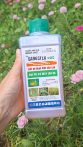 [VTNN TIEN KHOA] RICEUP 300EC GANGSTER 300EC Chai 450ml – Thuốc Trừ Cỏ Đặc Trị Cỏ Trên Lúa Sạ