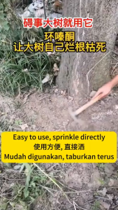 500g Effective weed control weed killer Racun Pochok Kuat Cyclohexanone Serbuk Mematikan Rumput Pohon Besar dan Bambu dead root rotten root racun rumput mati akar racun rumput paling kuat racun rumput Glyphosate