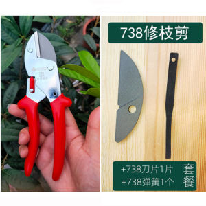 กิ๊บตัดผลไม้ Zokawa Taiwan ชิ้นส่วนอุปกรณ์สวนแบบคาร์บอนสแตนเลส สำหรับตัดใบไม้และตัดดอกไม้ในสวน